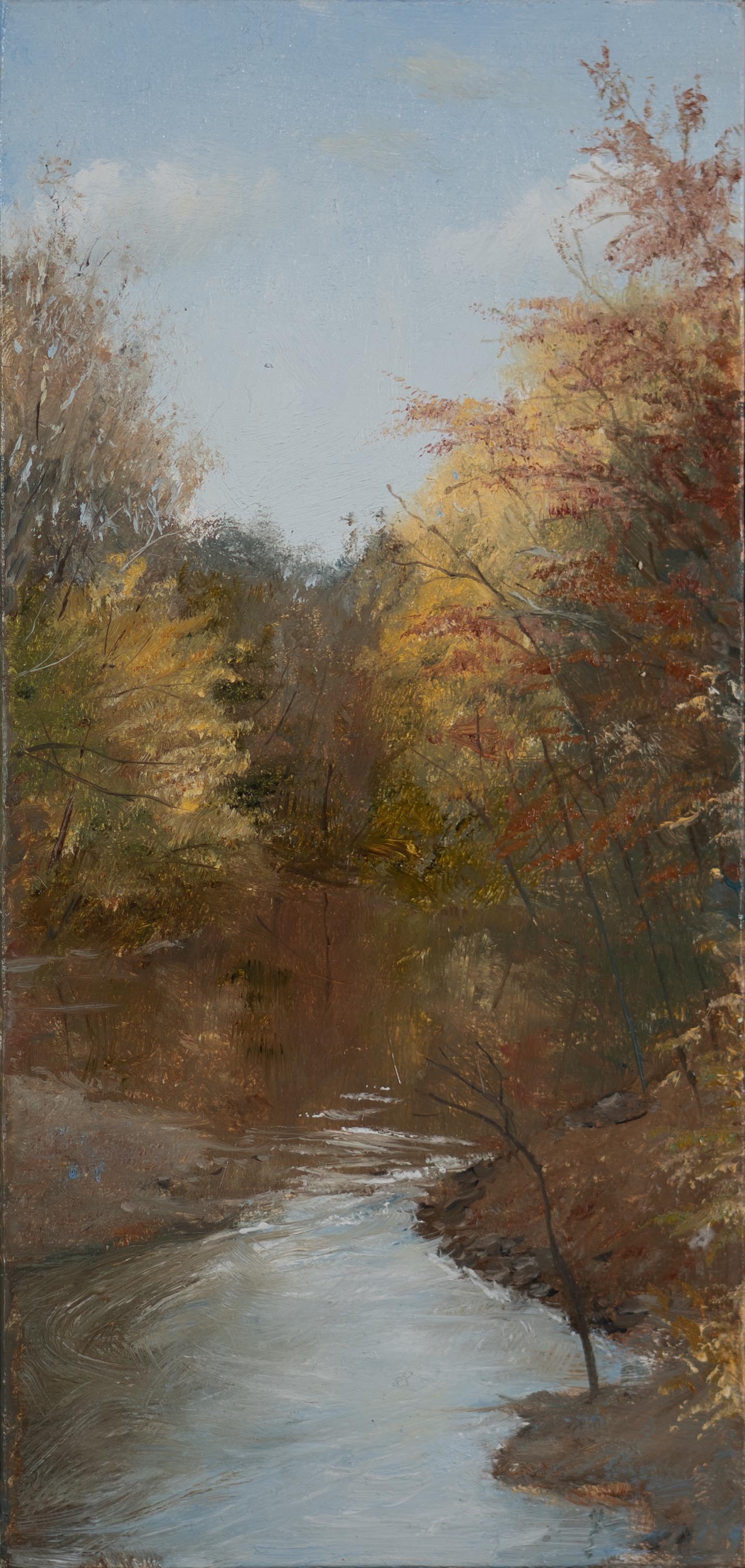 Wissahickon: Looking Upstream From Forbidden Drive, November Late Afternoon